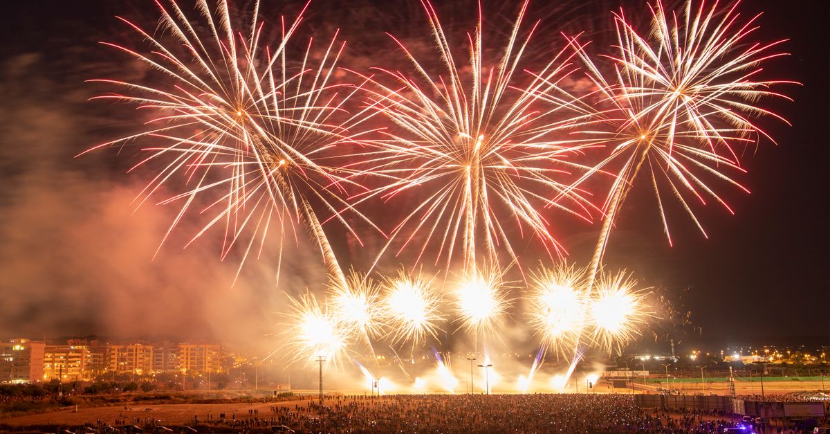 Dazzling fireworks light up the night sky during a festive event with a large crowd in attendance.